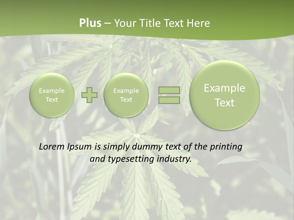 Backgrounds Leaf Marijuana PowerPoint Template