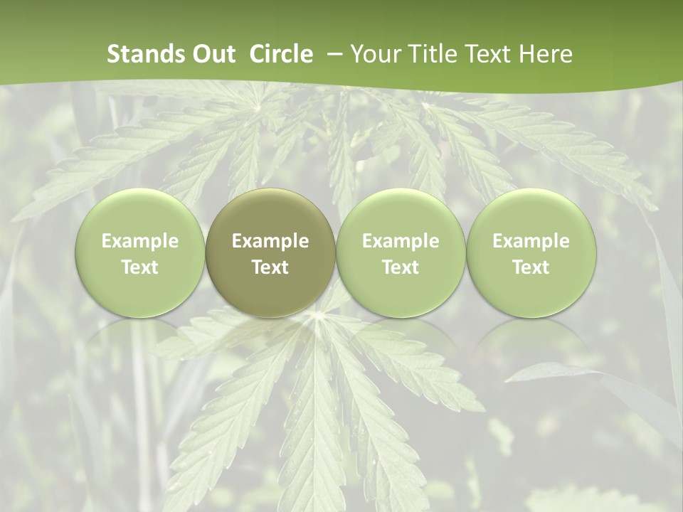 Backgrounds Leaf Marijuana PowerPoint Template