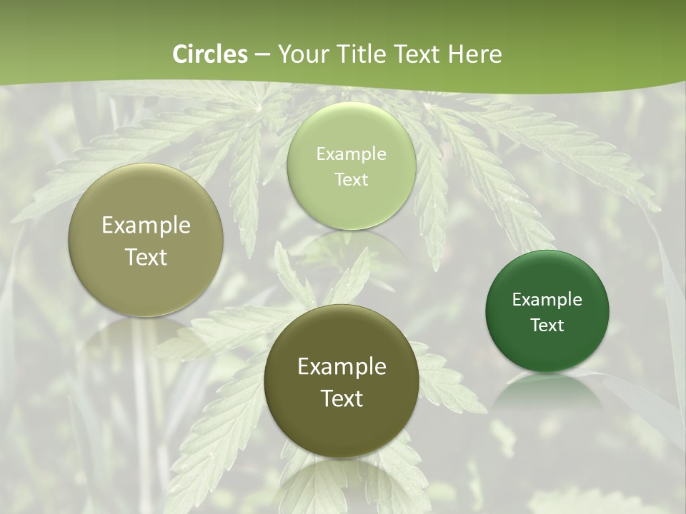 Backgrounds Leaf Marijuana PowerPoint Template