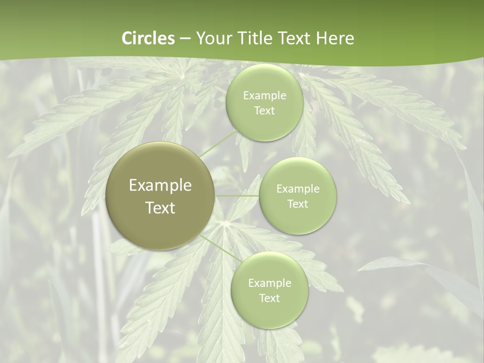 Backgrounds Leaf Marijuana PowerPoint Template