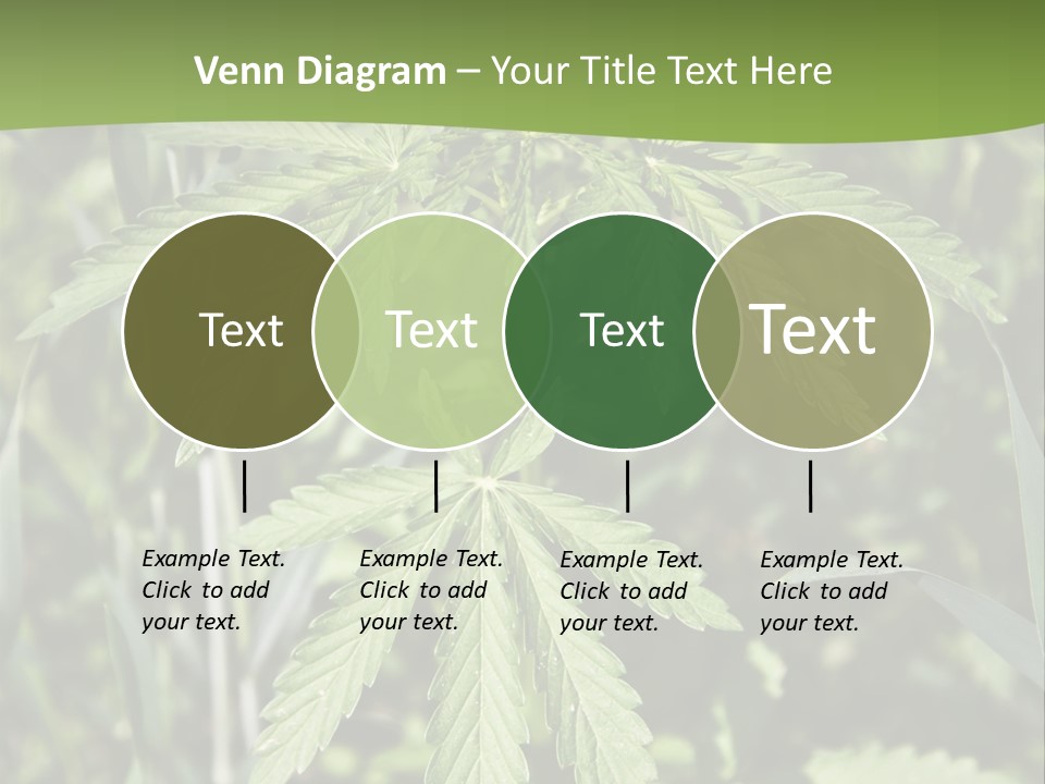 Backgrounds Leaf Marijuana PowerPoint Template
