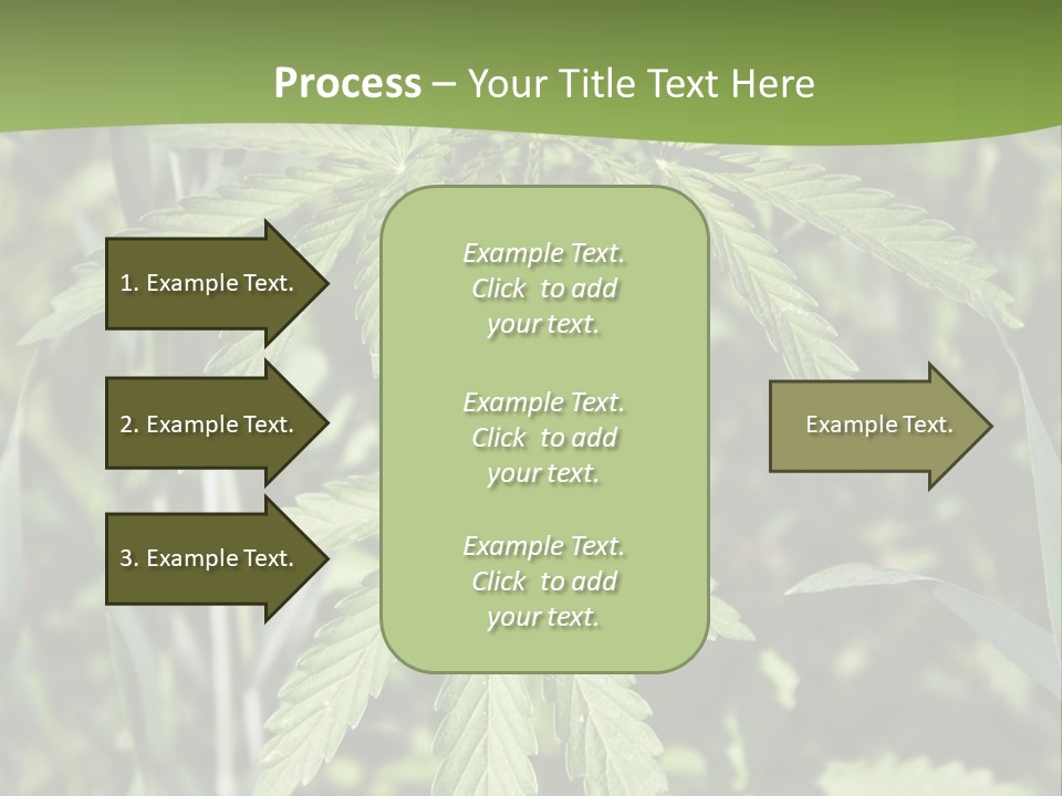 Backgrounds Leaf Marijuana PowerPoint Template
