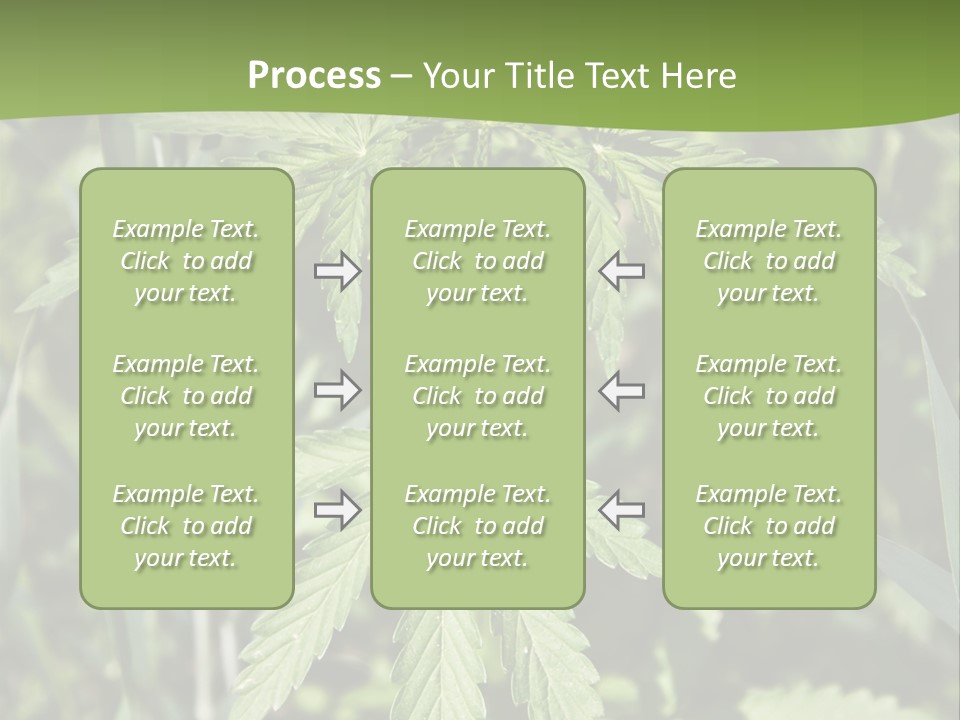 Backgrounds Leaf Marijuana PowerPoint Template