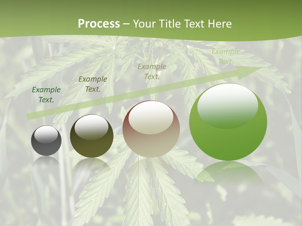 Backgrounds Leaf Marijuana PowerPoint Template