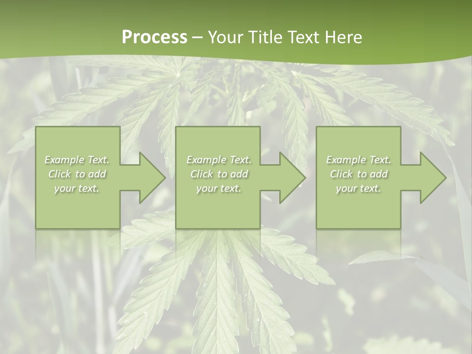 Backgrounds Leaf Marijuana PowerPoint Template
