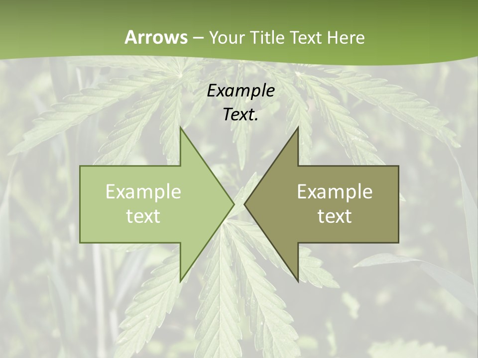 Backgrounds Leaf Marijuana PowerPoint Template