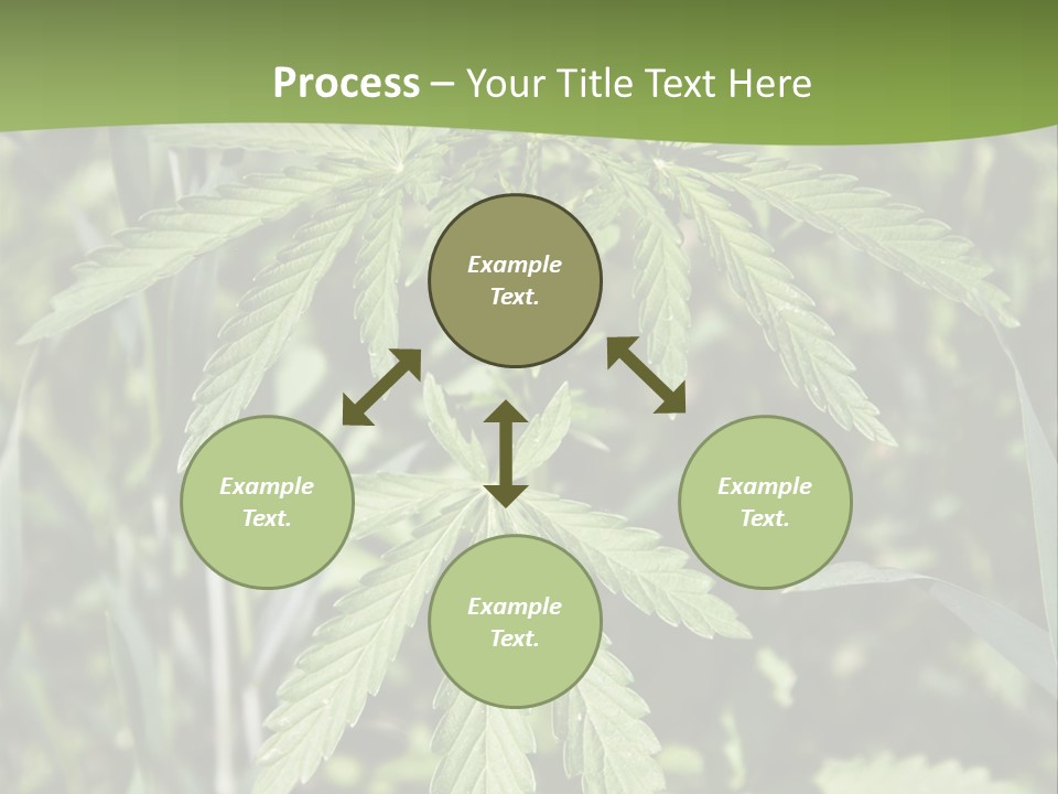 Backgrounds Leaf Marijuana PowerPoint Template
