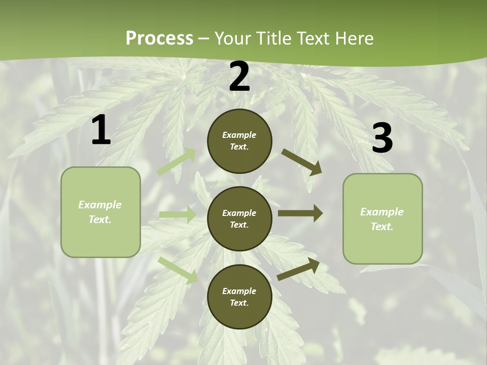 Backgrounds Leaf Marijuana PowerPoint Template