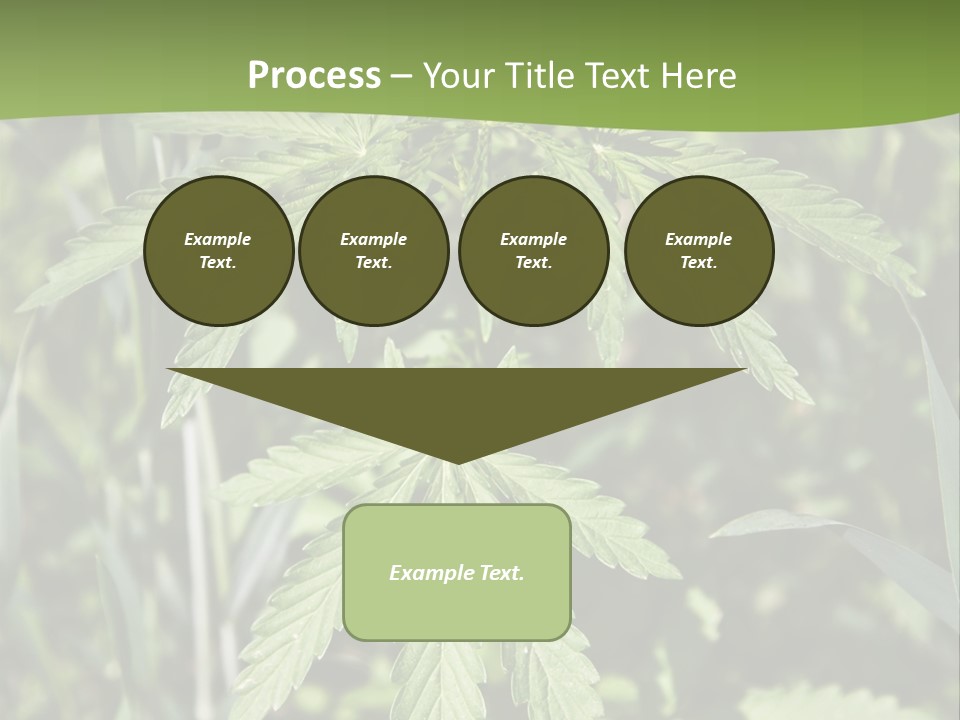 Backgrounds Leaf Marijuana PowerPoint Template