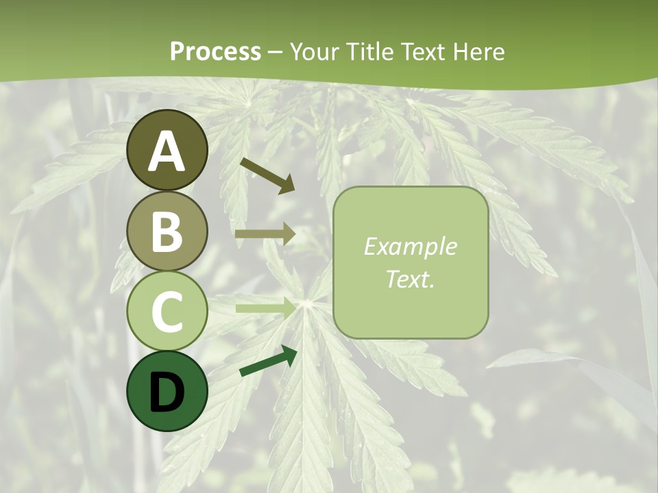 Backgrounds Leaf Marijuana PowerPoint Template