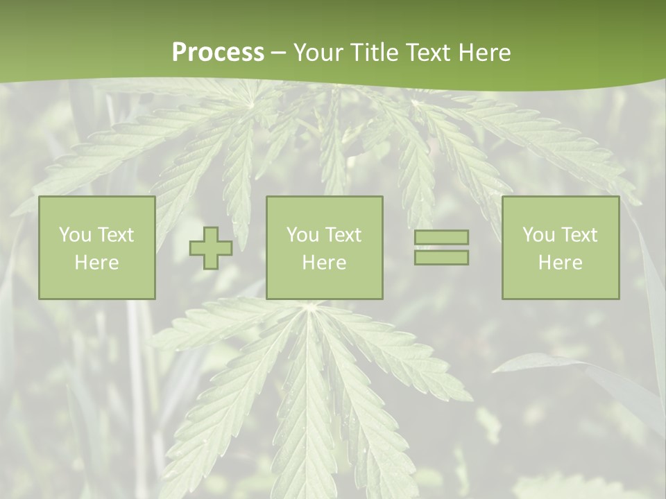 Backgrounds Leaf Marijuana PowerPoint Template