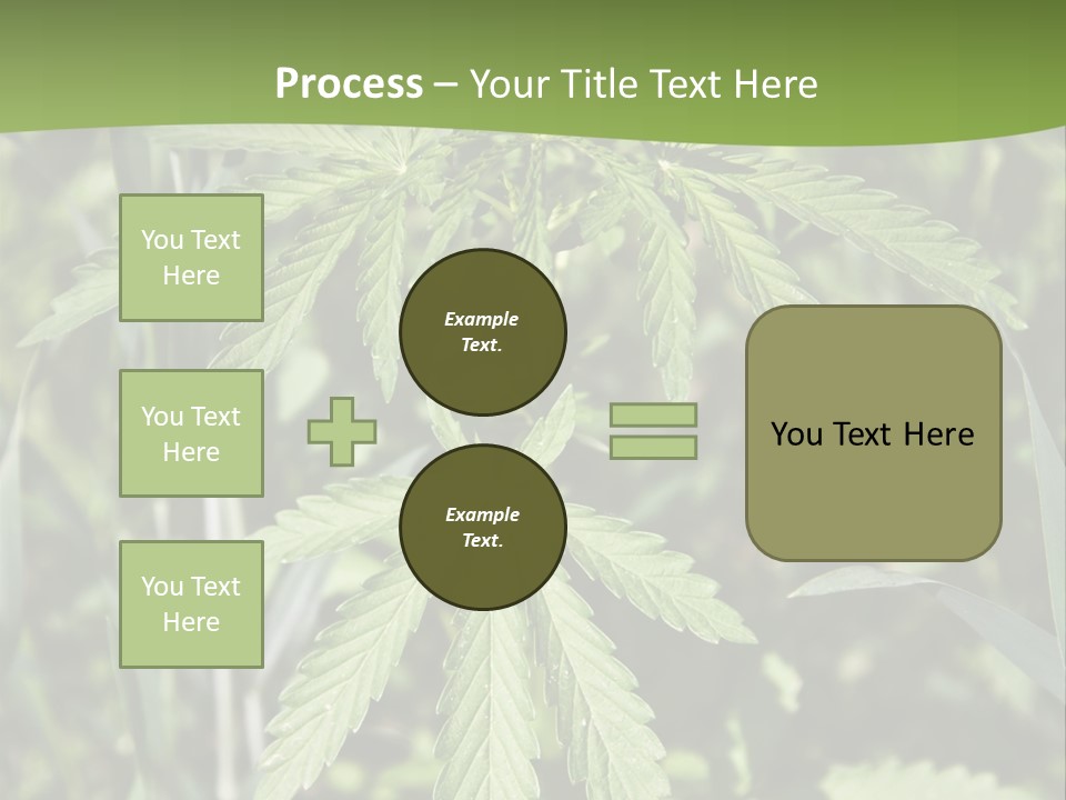 Backgrounds Leaf Marijuana PowerPoint Template