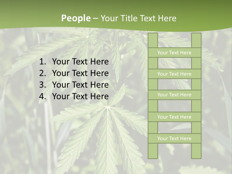 Backgrounds Leaf Marijuana PowerPoint Template
