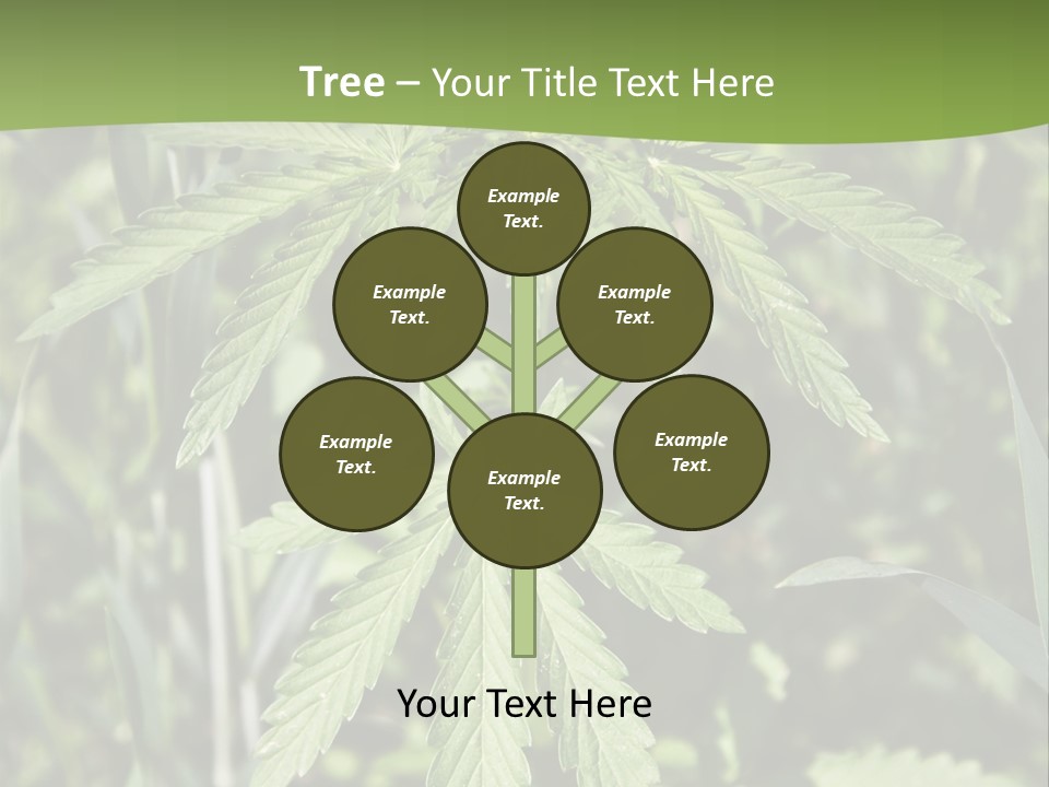 Backgrounds Leaf Marijuana PowerPoint Template