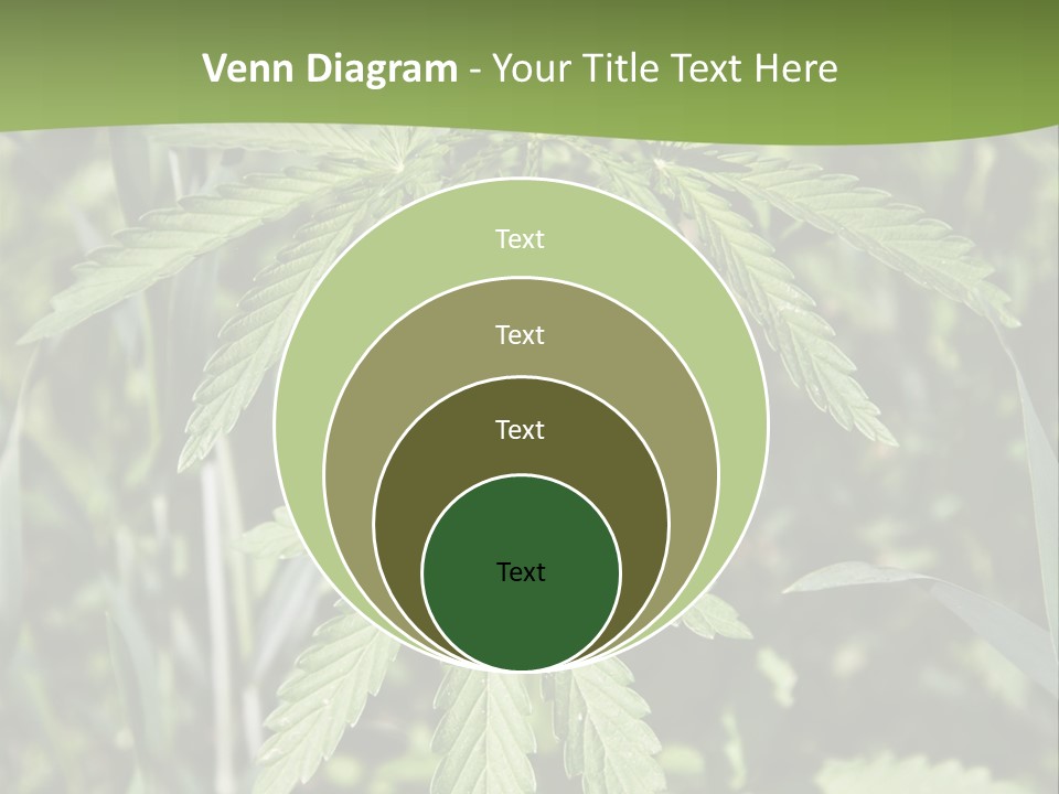 Backgrounds Leaf Marijuana PowerPoint Template