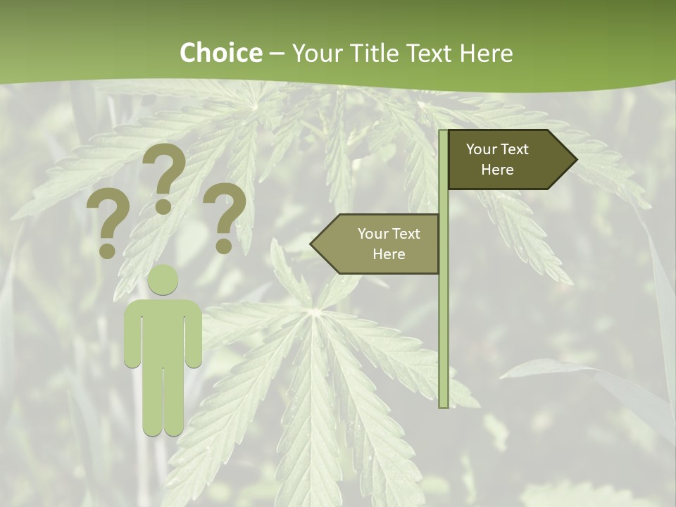 Backgrounds Leaf Marijuana PowerPoint Template