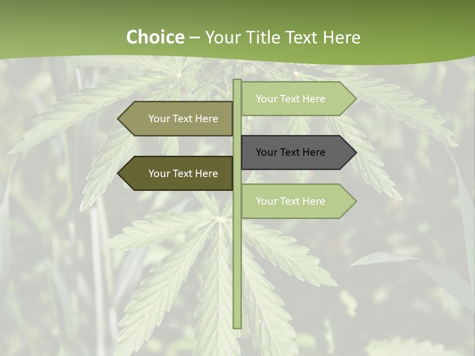 Backgrounds Leaf Marijuana PowerPoint Template