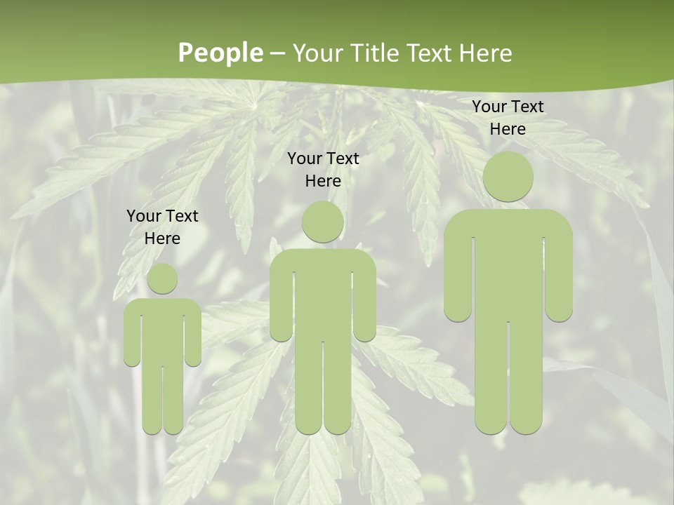 Backgrounds Leaf Marijuana PowerPoint Template
