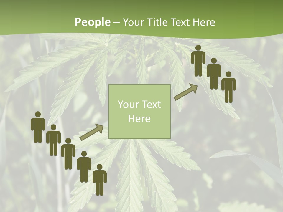 Backgrounds Leaf Marijuana PowerPoint Template