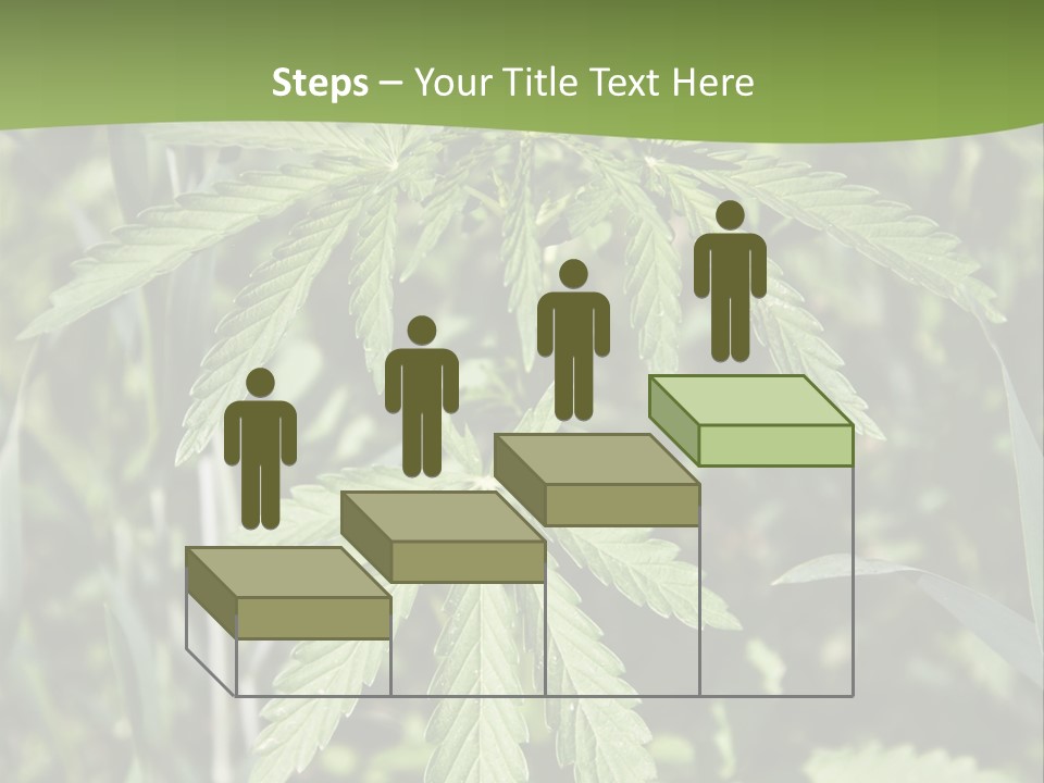 Backgrounds Leaf Marijuana PowerPoint Template