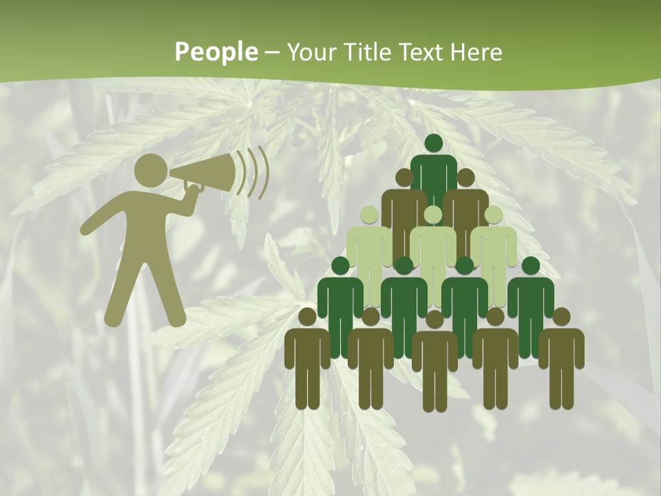 Backgrounds Leaf Marijuana PowerPoint Template