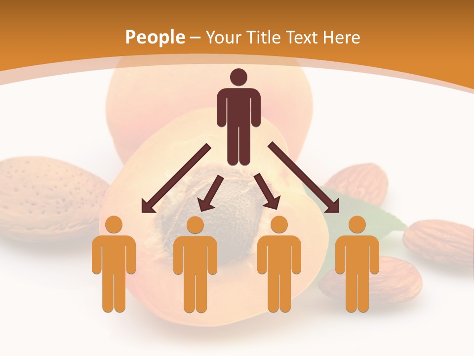 Walnut Sweet Vegetarian PowerPoint Template