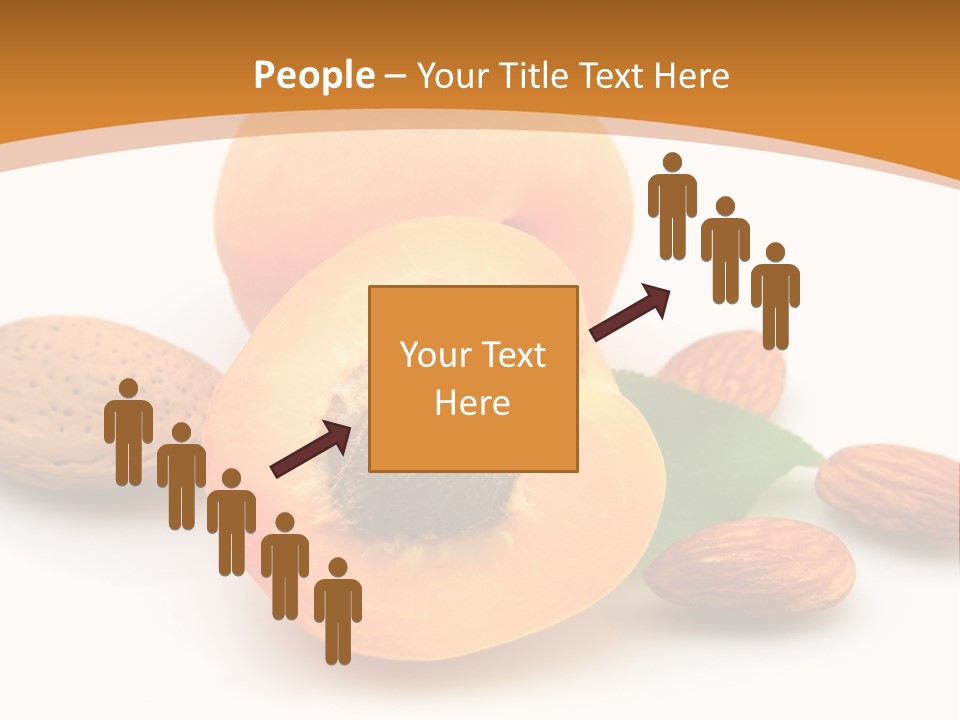 Walnut Sweet Vegetarian PowerPoint Template