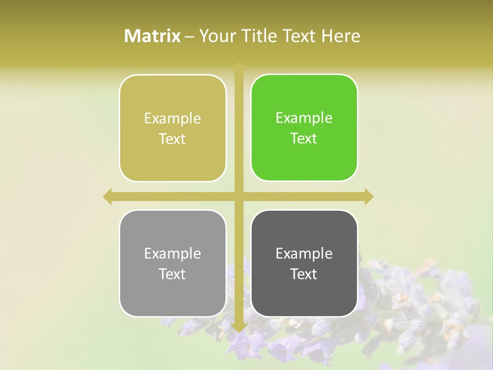 Furry Pollination Pollen PowerPoint Template