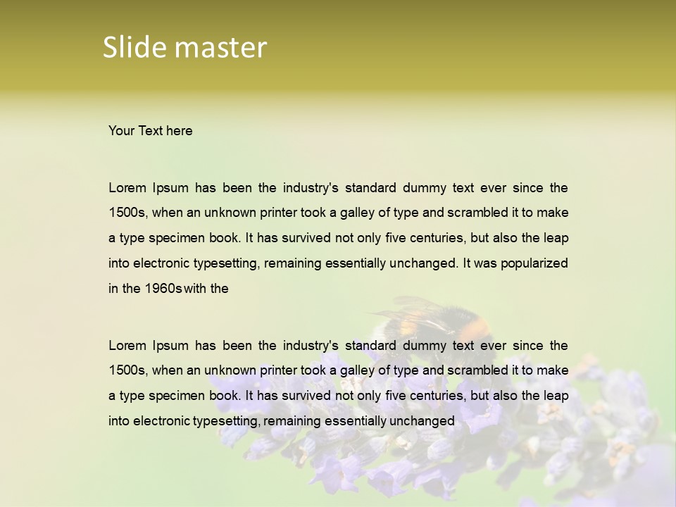 Furry Pollination Pollen PowerPoint Template