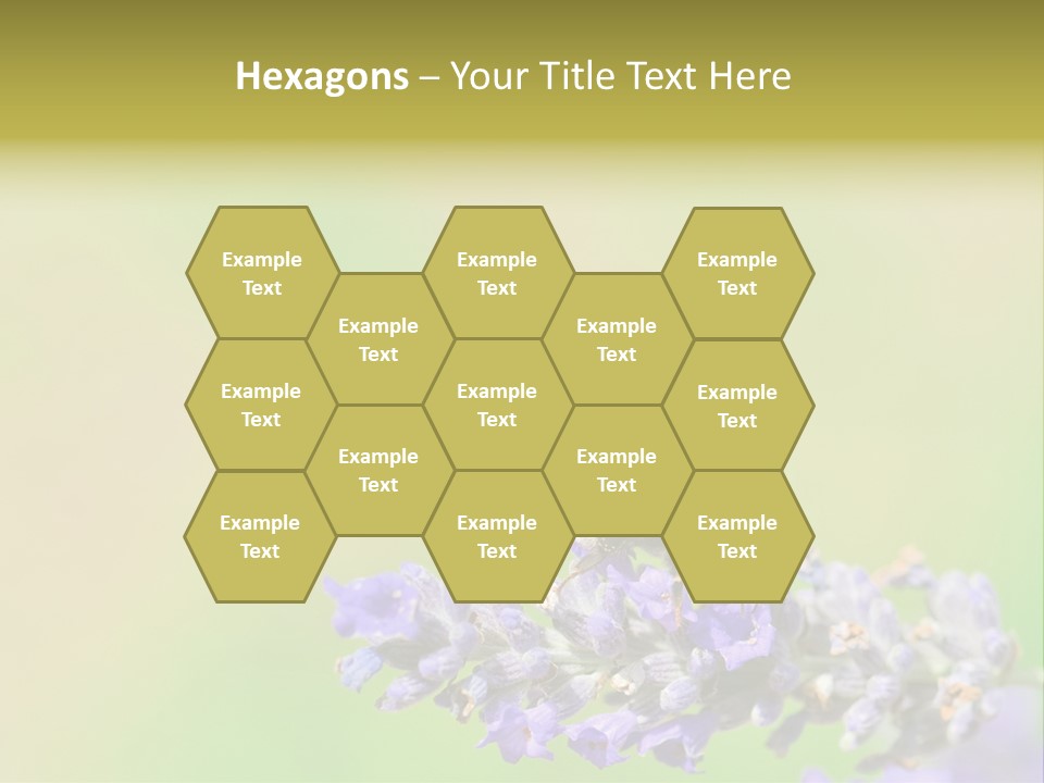 Furry Pollination Pollen PowerPoint Template