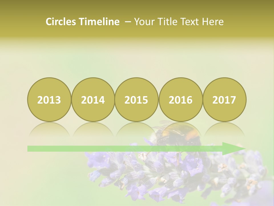 Furry Pollination Pollen PowerPoint Template