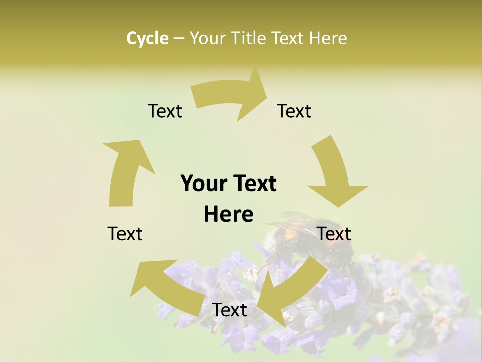 Furry Pollination Pollen PowerPoint Template