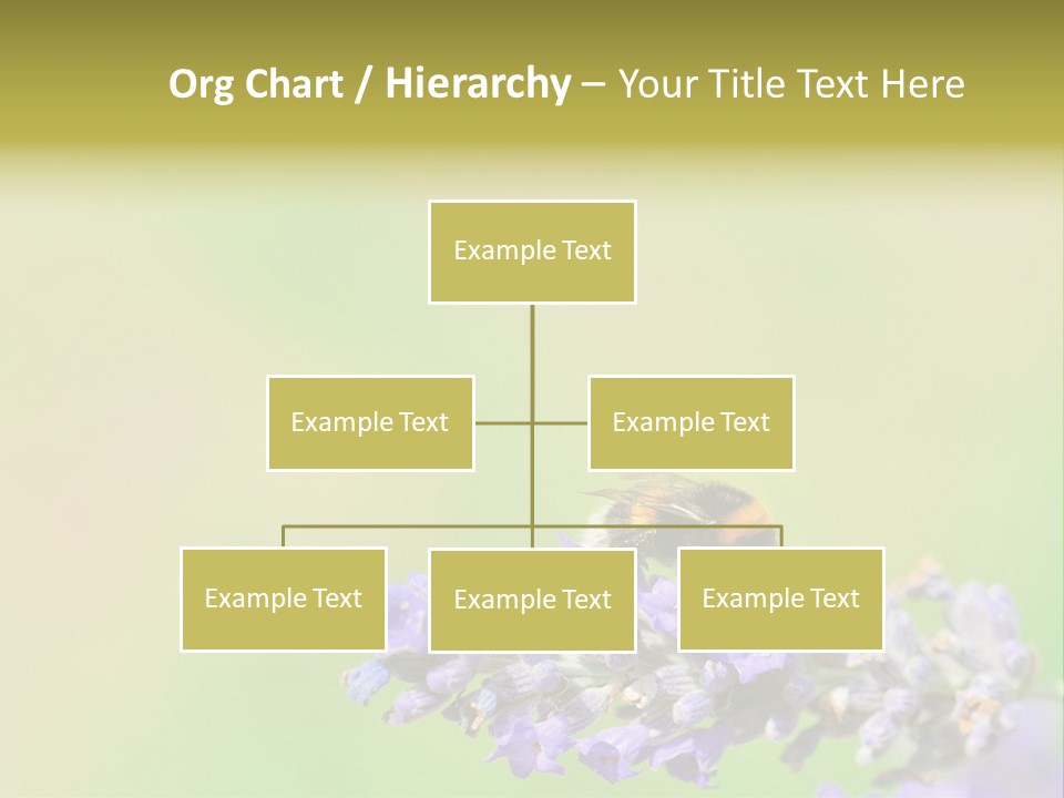 Furry Pollination Pollen PowerPoint Template