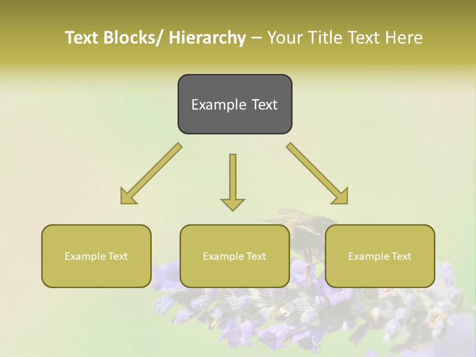 Furry Pollination Pollen PowerPoint Template
