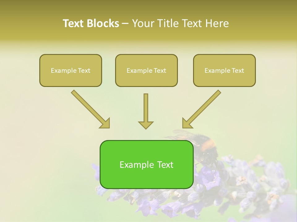 Furry Pollination Pollen PowerPoint Template
