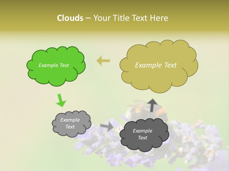 Furry Pollination Pollen PowerPoint Template