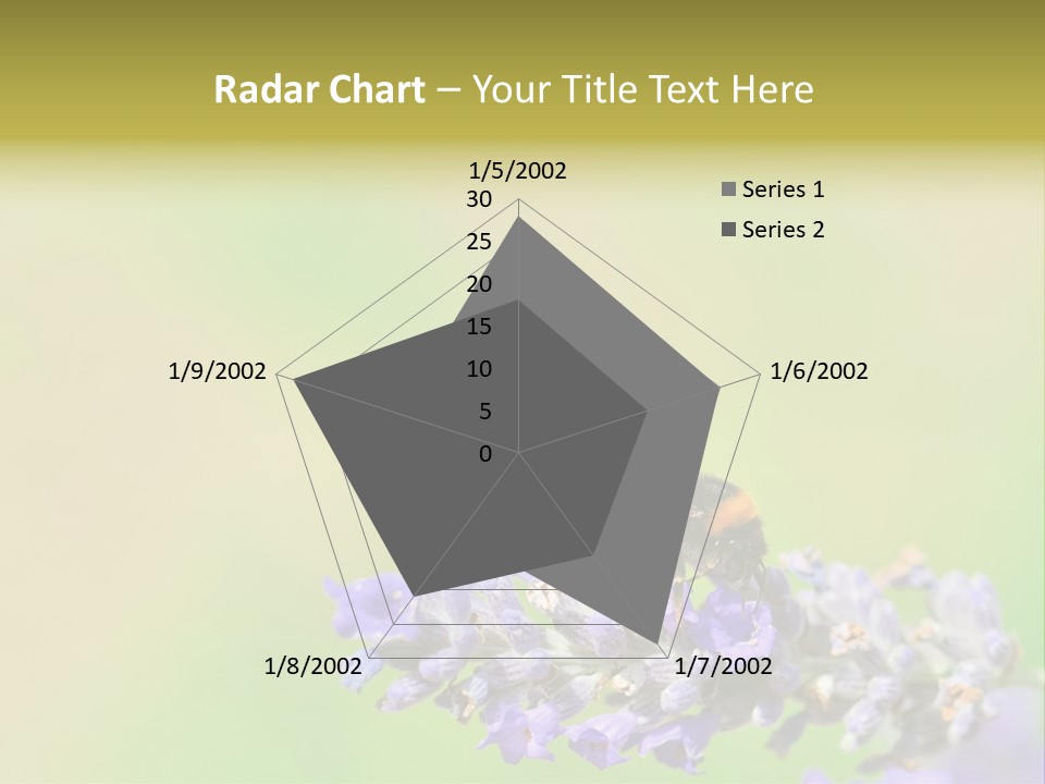 Furry Pollination Pollen PowerPoint Template