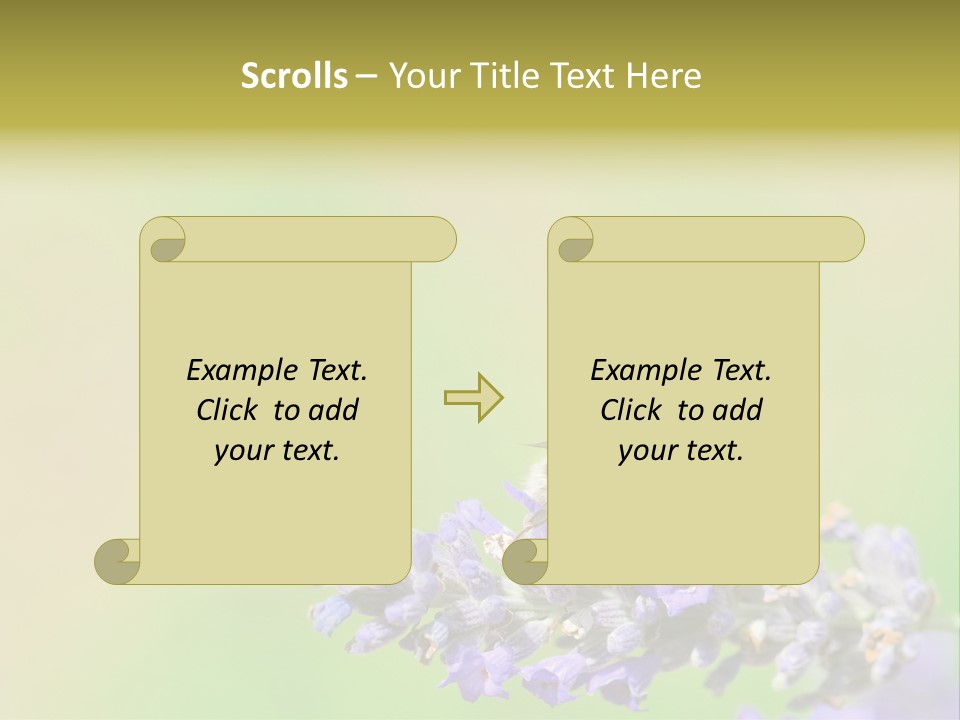 Furry Pollination Pollen PowerPoint Template