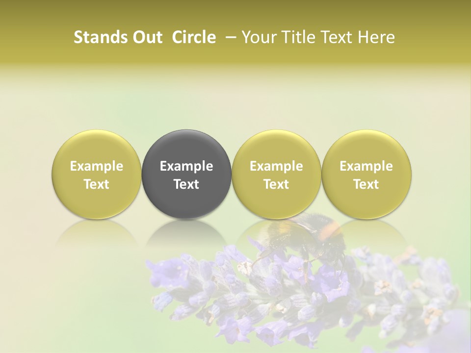 Furry Pollination Pollen PowerPoint Template