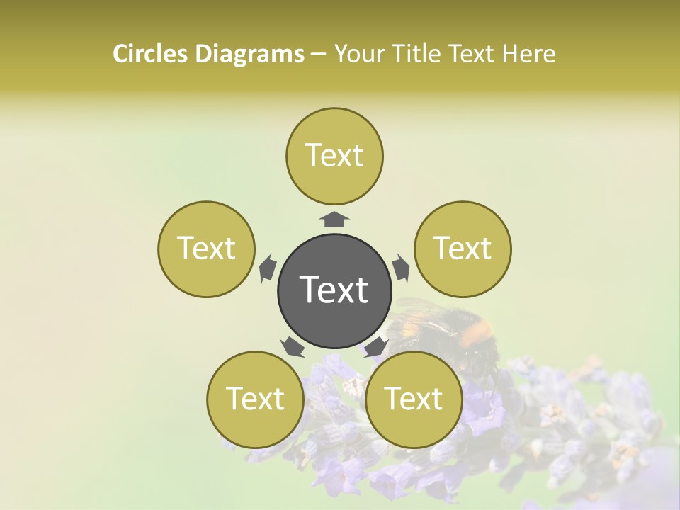 Furry Pollination Pollen PowerPoint Template