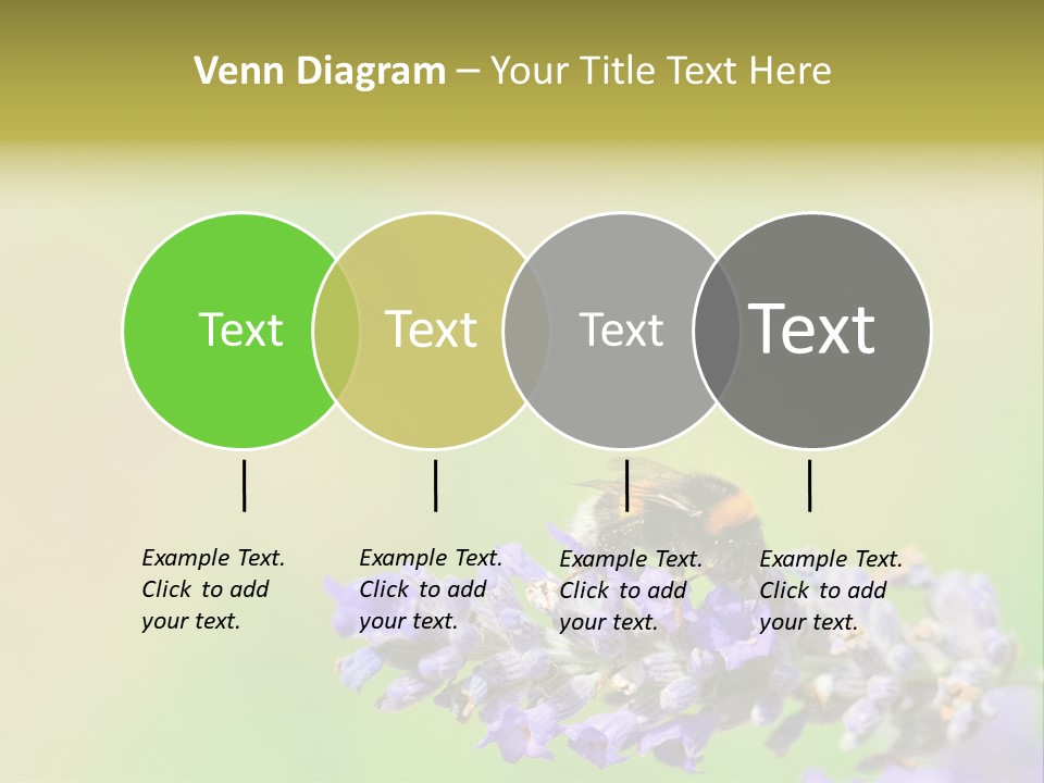 Furry Pollination Pollen PowerPoint Template