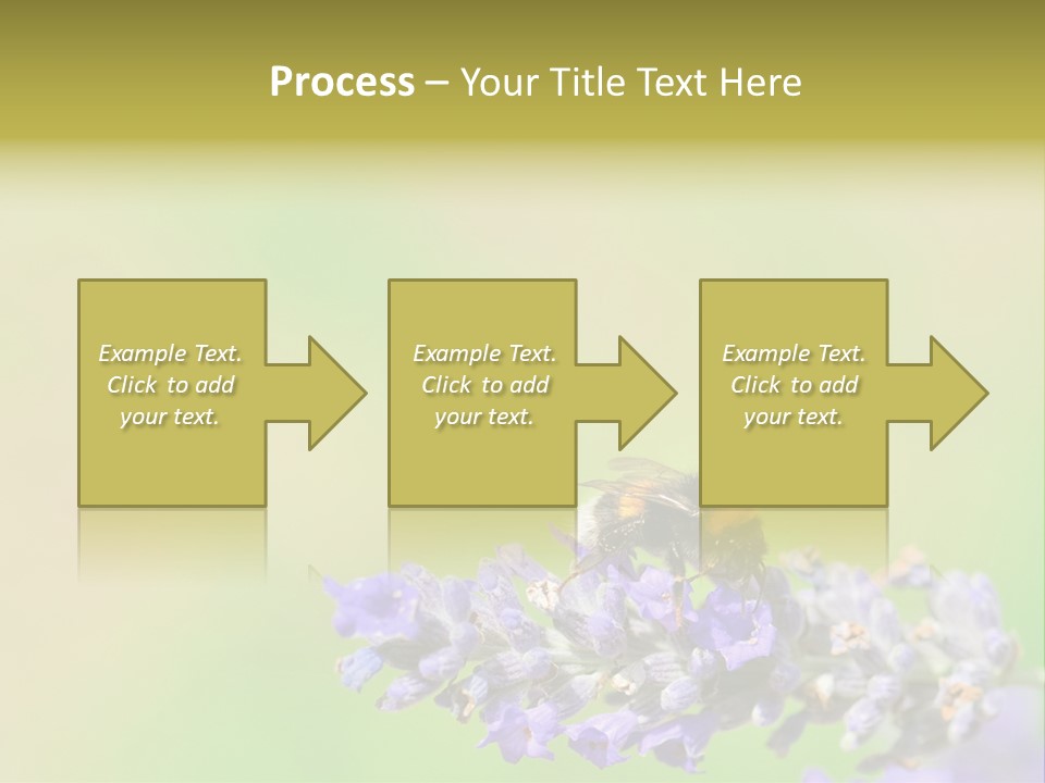 Furry Pollination Pollen PowerPoint Template