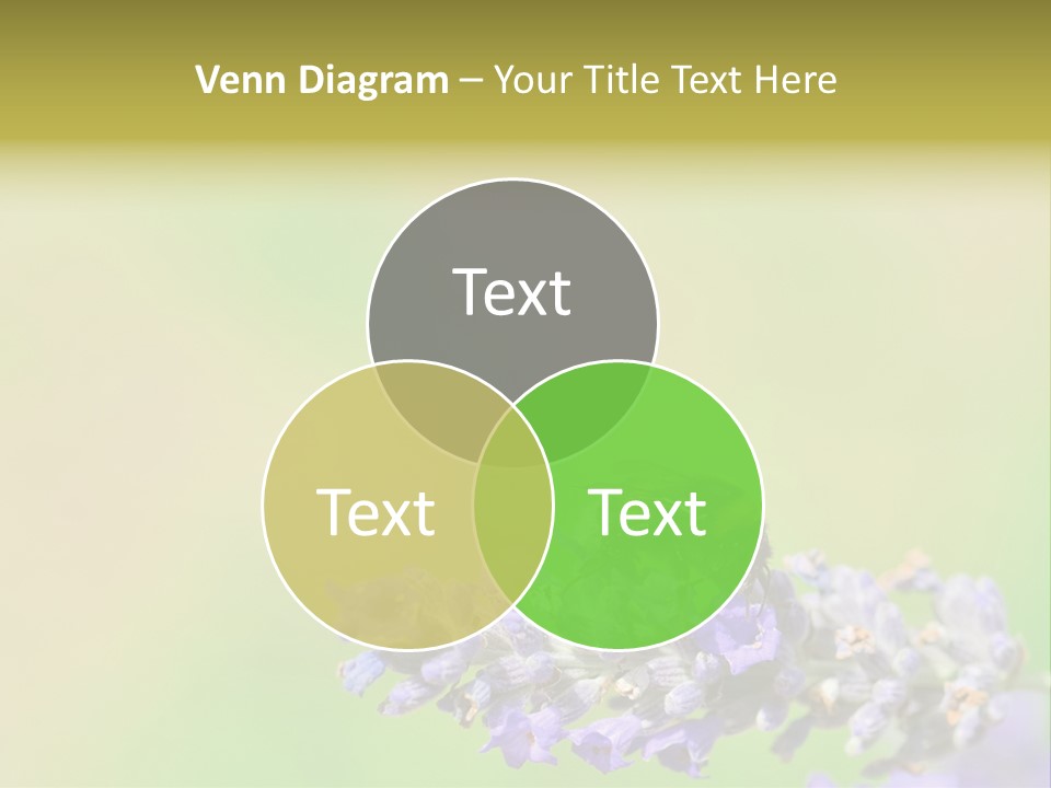Furry Pollination Pollen PowerPoint Template