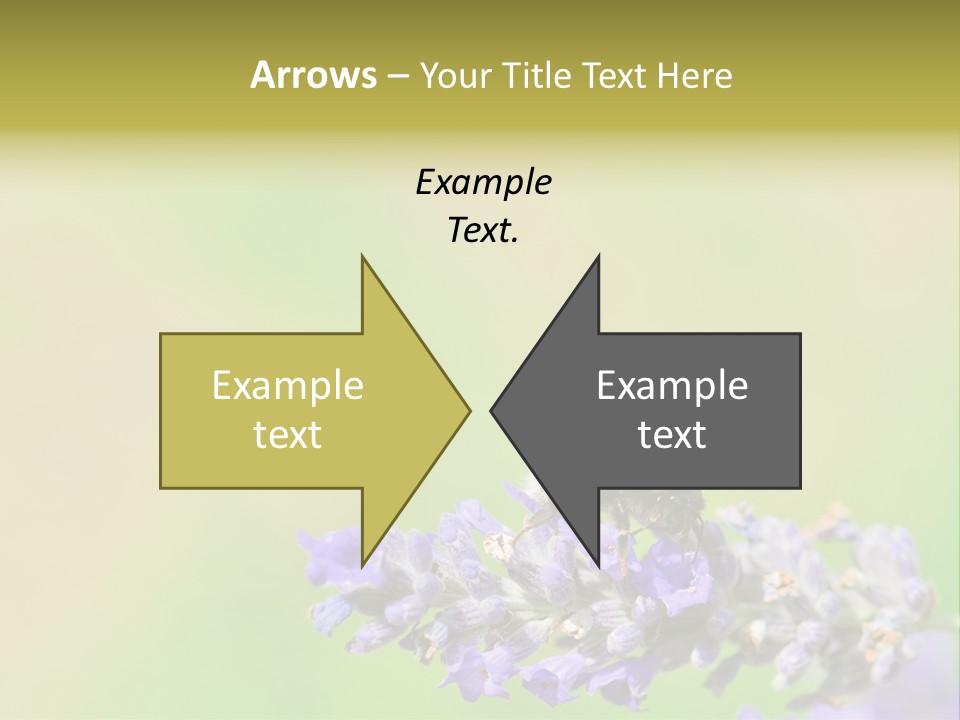 Furry Pollination Pollen PowerPoint Template