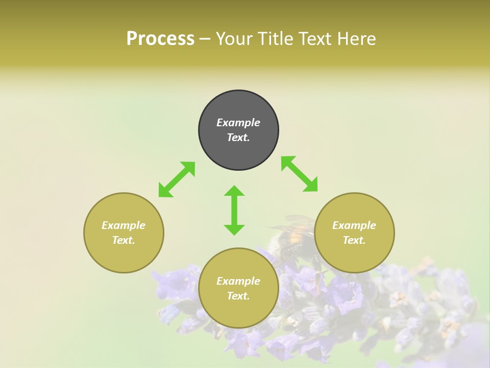 Furry Pollination Pollen PowerPoint Template