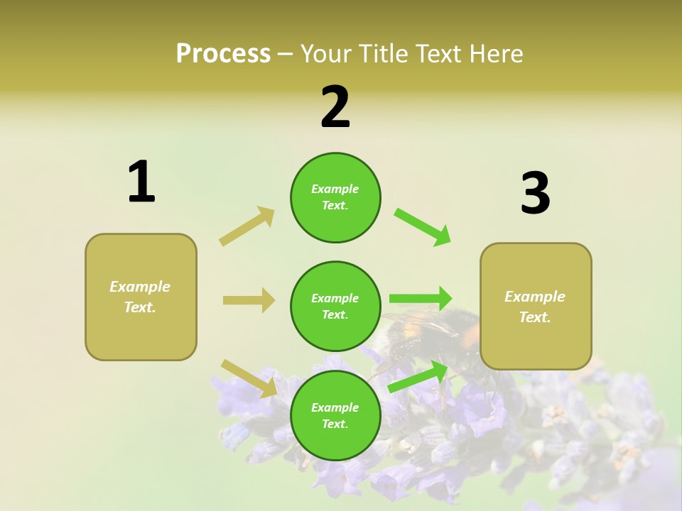 Furry Pollination Pollen PowerPoint Template