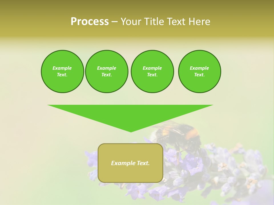 Furry Pollination Pollen PowerPoint Template