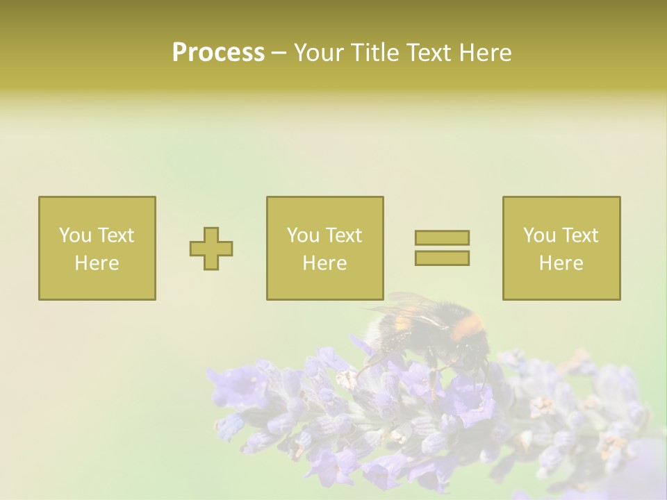 Furry Pollination Pollen PowerPoint Template
