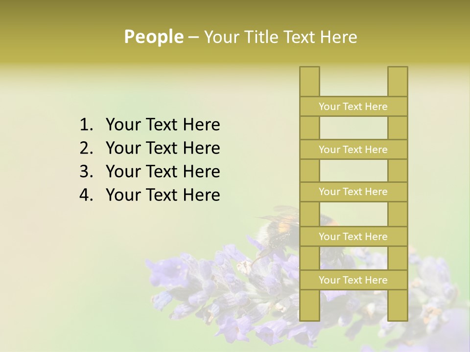 Furry Pollination Pollen PowerPoint Template