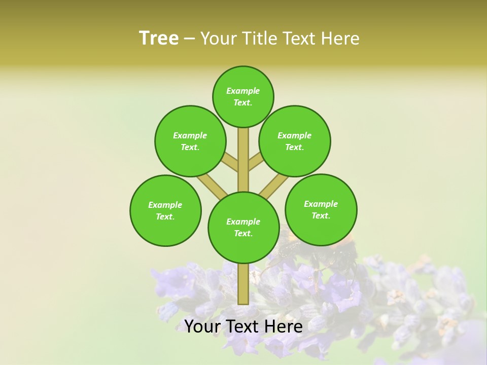 Furry Pollination Pollen PowerPoint Template